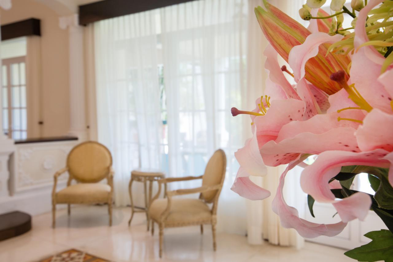 Delfina Boutique Hotel 메리다 외부 사진