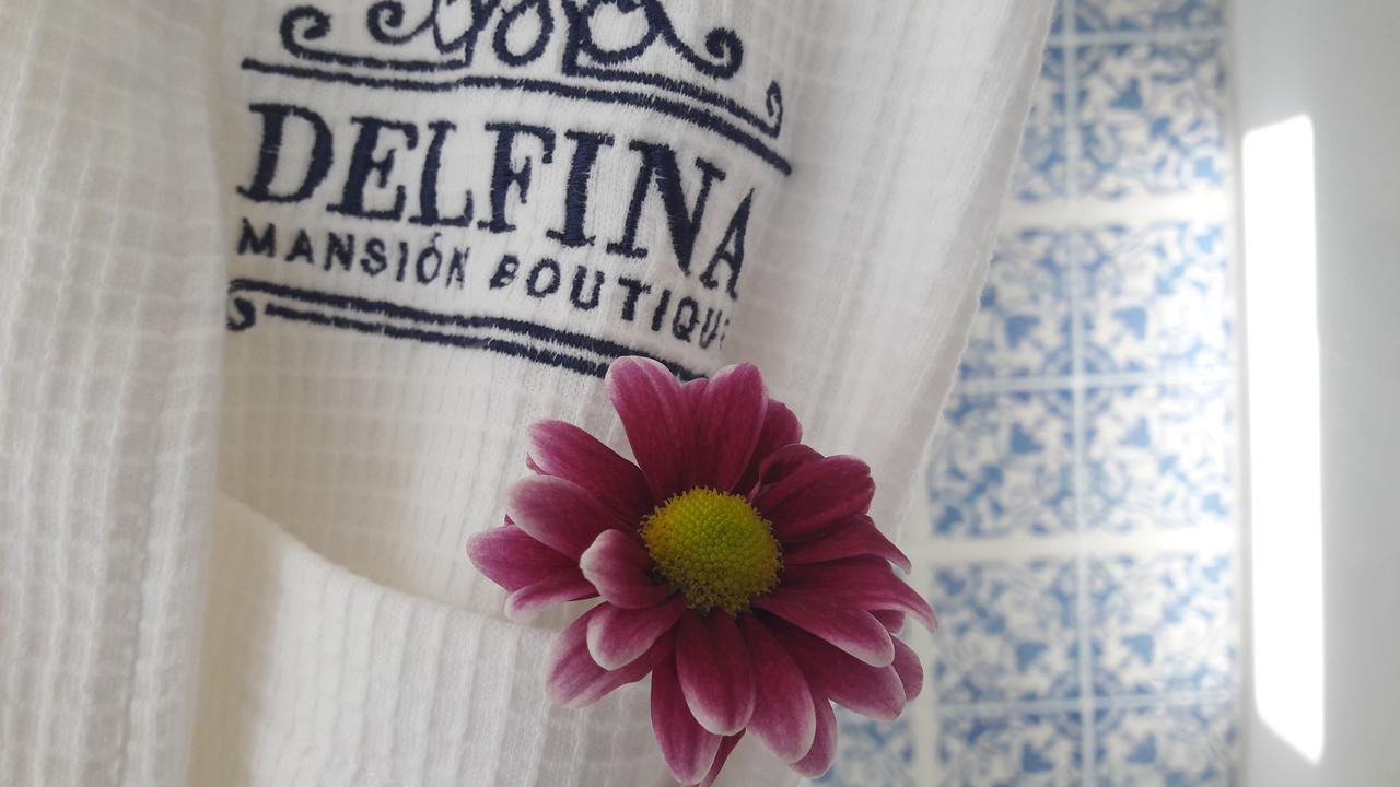 Delfina Boutique Hotel 메리다 외부 사진